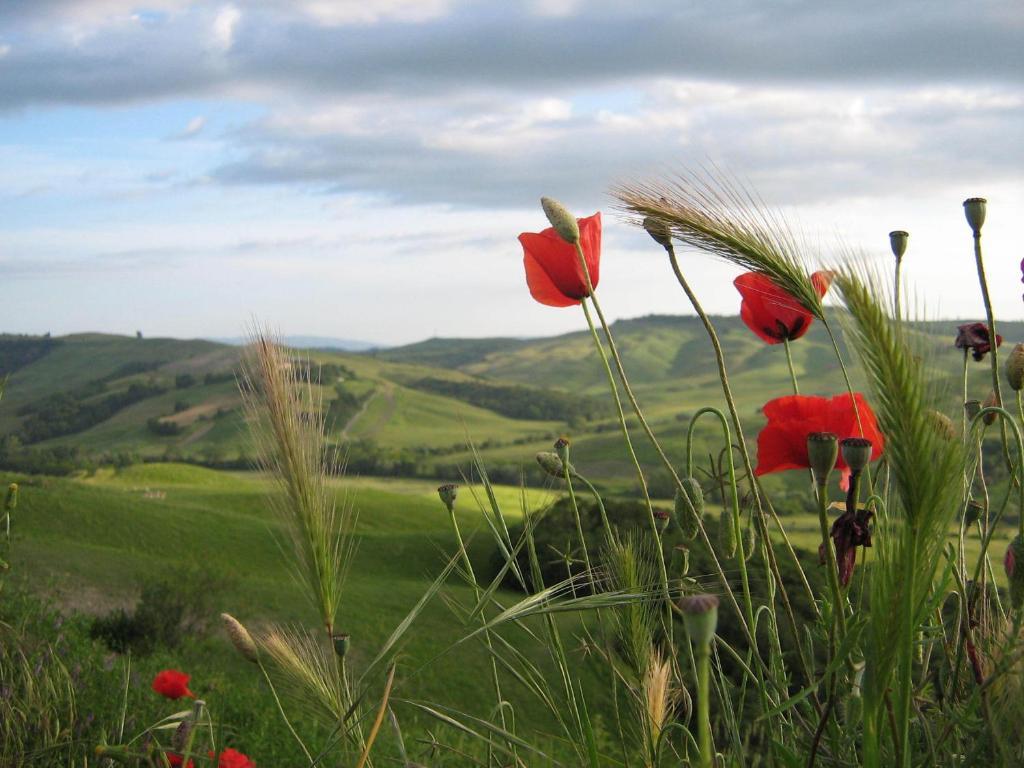 Certine Agroturismo *
